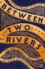Between Two Rivers: Ancient Mesopotamia and the Birth of History image