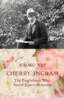 ‘Cherry’ Ingram – the English Saviour of Japan’s Cherry Blossoms image