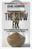 The Slow Fix image