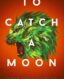 To Catch A Moon thumb image